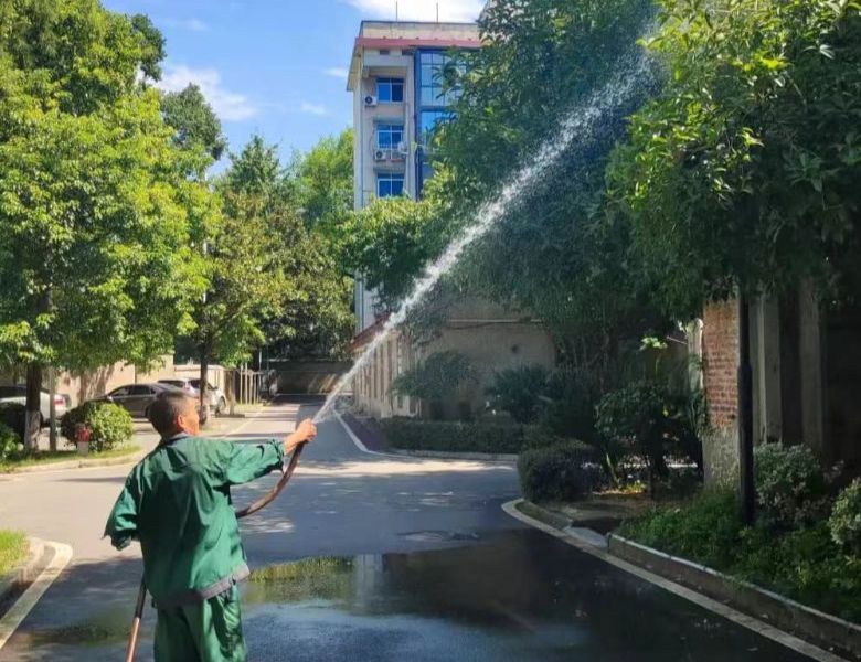 fd67393c700e7d4d7ae8f50f3c434ba6-sz_416402 (1).jpg