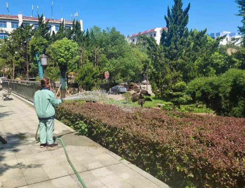 bddd4d5d9fd6653aed809a10a4240088-sz_474941 (1).jpg