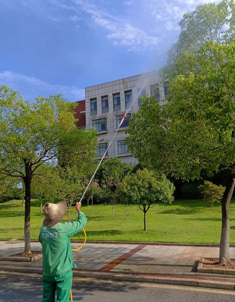 c9ab83820743a992128ed7b3fd4e2bb7-sz_555658 (2).jpg