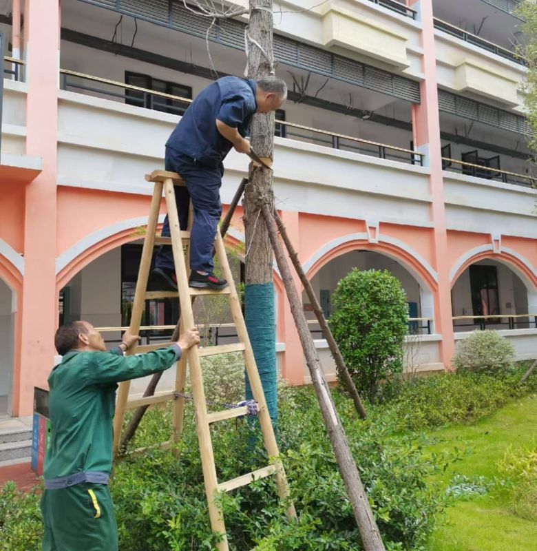 ec13eeaa59807abc3e4749e2fc65e603-sz_955004 (1).jpg ec13eeaa59807abc3e4749e2fc65e603-sz_955004 (1).jpg