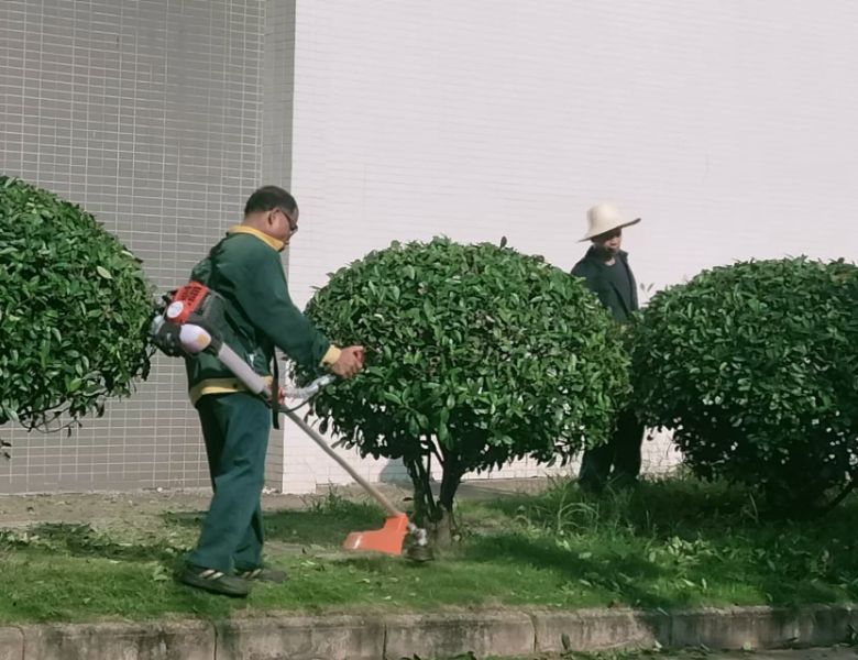 61c86f1b6ddb48f06533adf3edf7bd24-sz_553757.jpg 61c86f1b6ddb48f06533adf3edf7bd24-sz_553757.jpg