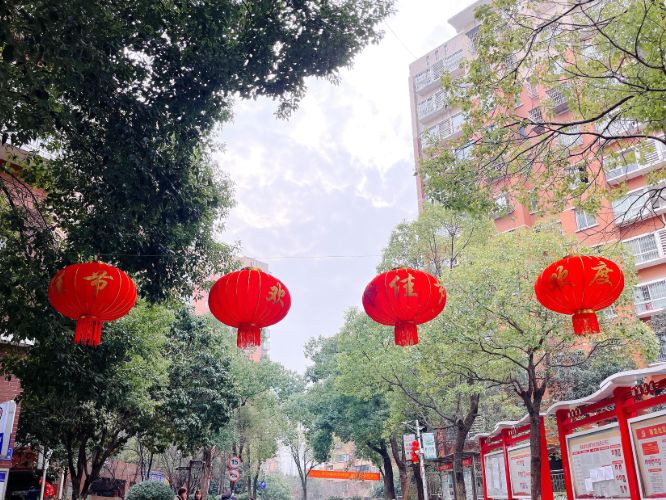 ΢�ňDƬ_20250123151032 (1).jpg